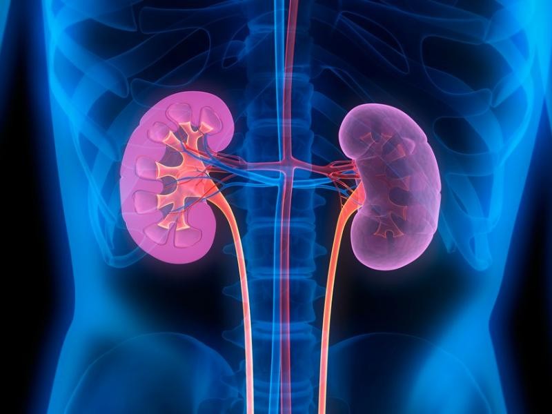 Ablação Renal